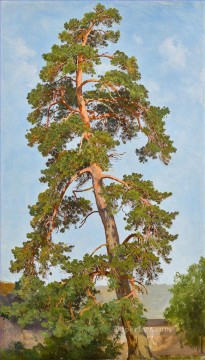 Pine Tree classical landscape Ivan Ivanovich Oil Paintings